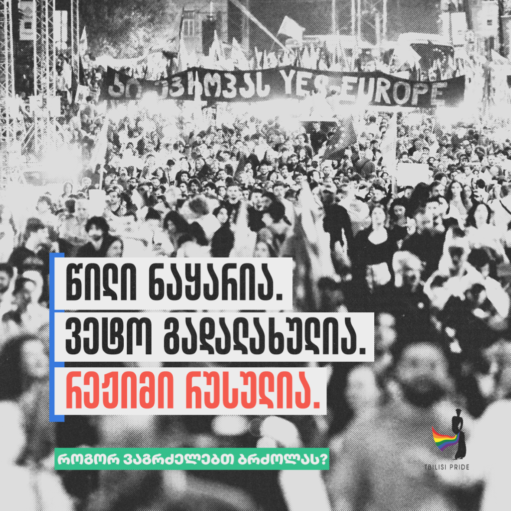 წილი ნაყარია. ვეტო გადალახულია. რეჟიმი რუსულია – როგორ ვაგრძელებთ ბრძოლას?